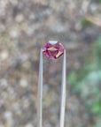 2.80ct Mozambique Zircon