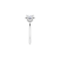 The Starlet Ring