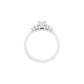 The Starlet Ring