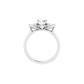 The Starlight Ring - Natural Diamond - Moments Jewellery