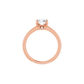 Hidden Accent Solitaire Engagement Ring - Lab Diamond