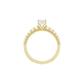 Oval Solitaire Engagement Ring - Lab Diamond - Moments Jewellery
