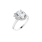 The Zara Ring - Moments Jewellery