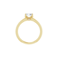 Hidden Accent Solitaire Engagement Ring - Lab Diamond